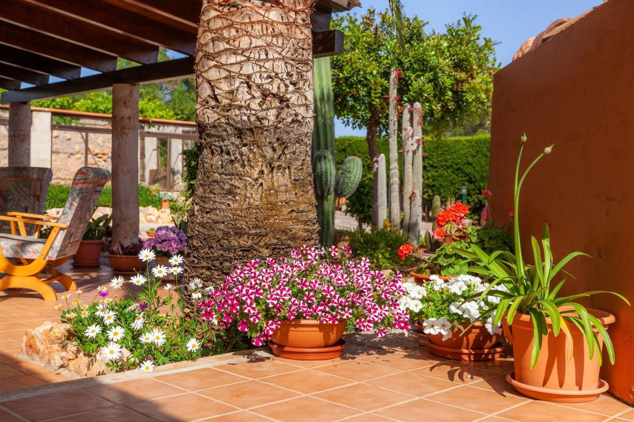 Ses Salines Cottage With Private Pool And Barbecue المظهر الخارجي الصورة