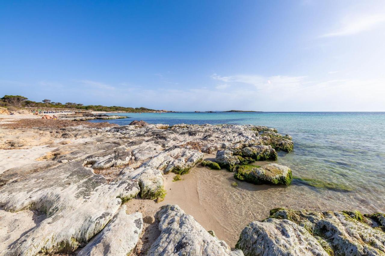 Ses Salines Cottage With Private Pool And Barbecue المظهر الخارجي الصورة