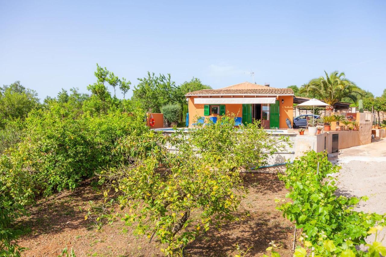 Ses Salines Cottage With Private Pool And Barbecue المظهر الخارجي الصورة